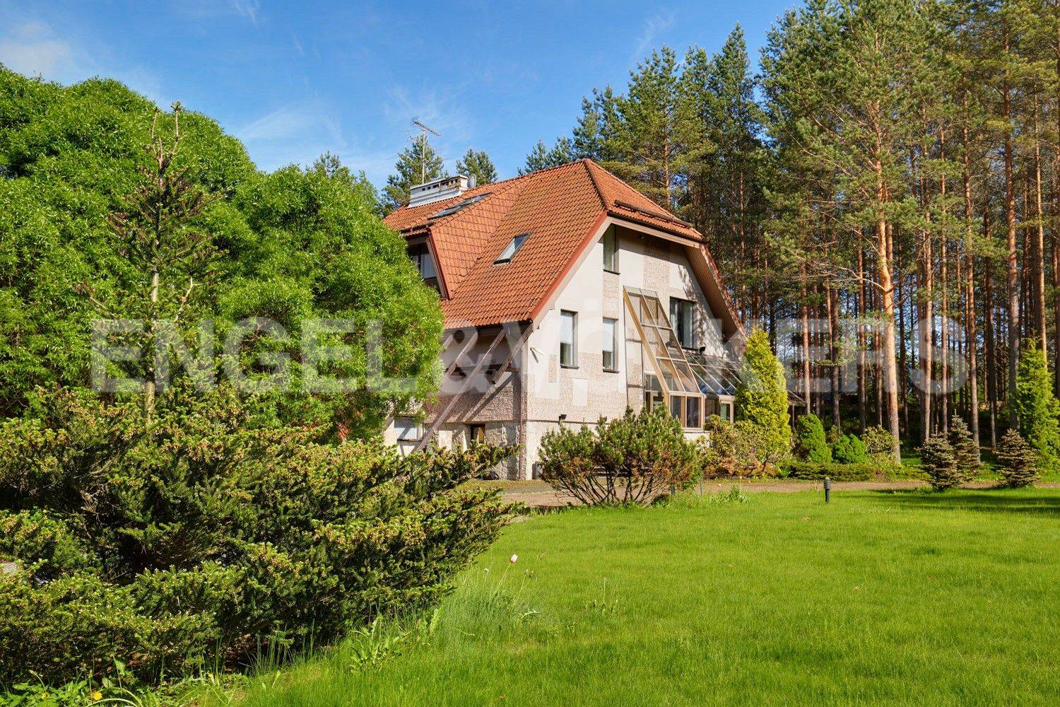 п. репино-ленинское - лесной участок на берегу р. сестра в уединенном месте фото 1