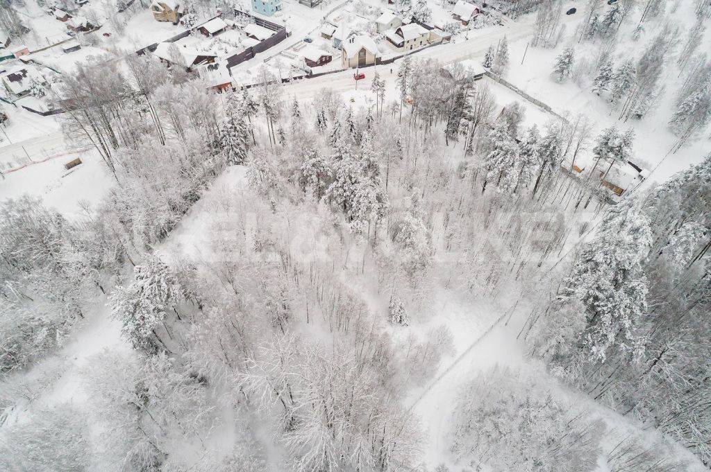 пос. юкки - живописный земельный участок фото 1