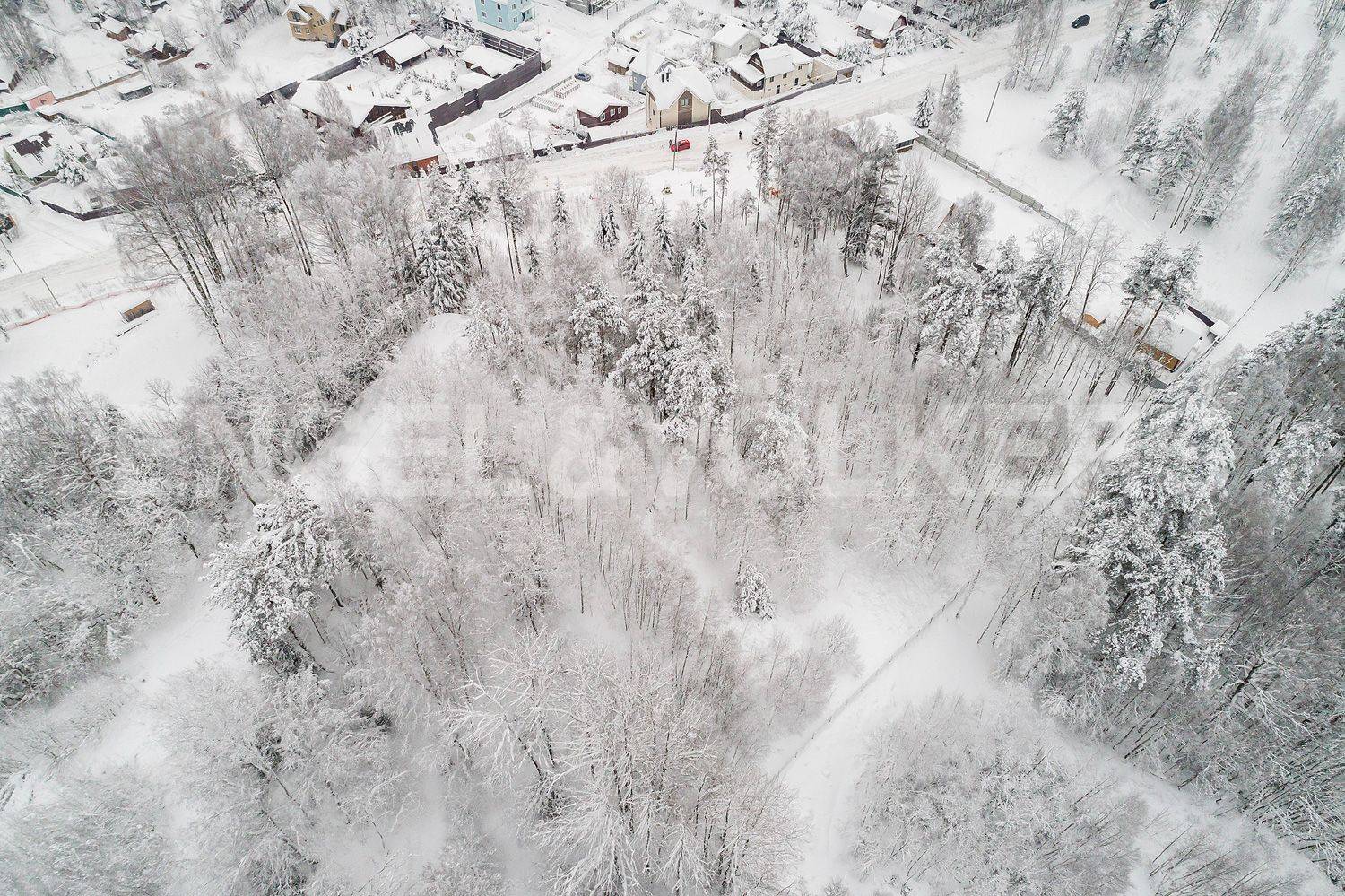 пос. юкки - живописный земельный участок фото 1