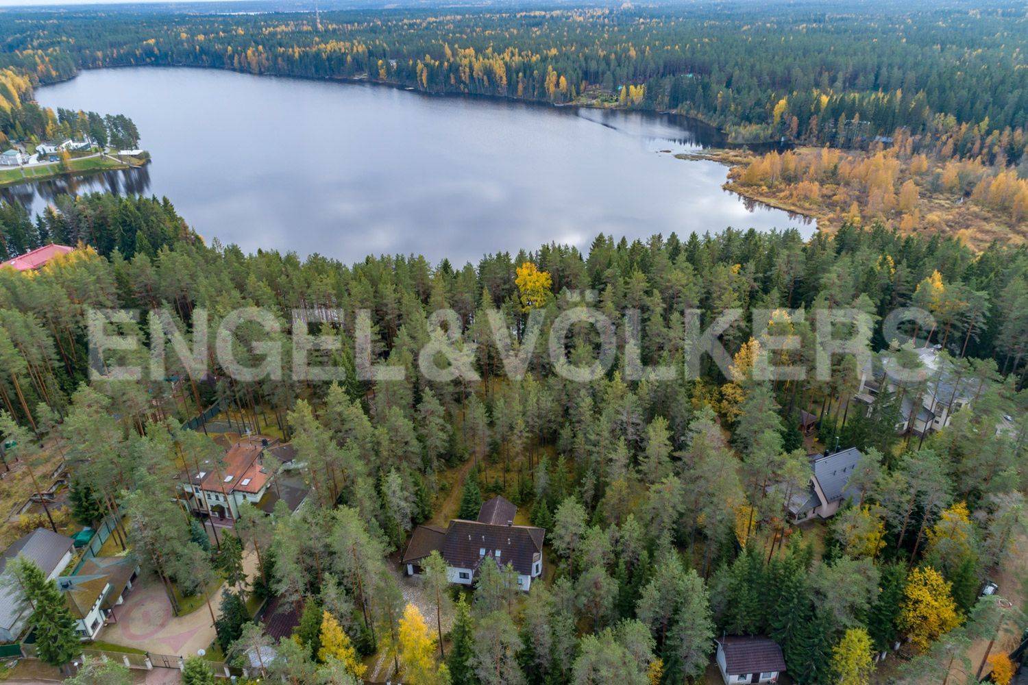 кп «горки» - скандинавский стиль жизни на берегу озера ильичевское в окружении леса фото 1