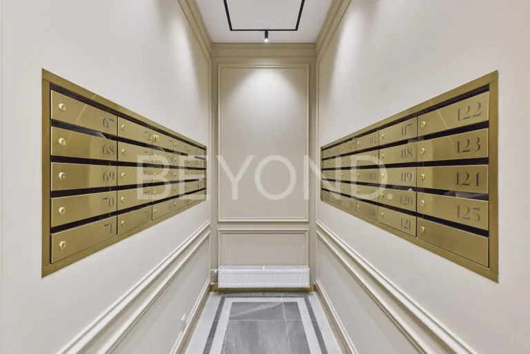 амо - роскошь в сердце васильевского острова фото 4