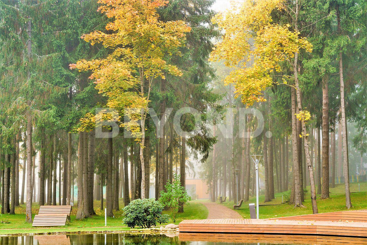 honka nova – готовый дом в престижной локации у финского залива фото 2