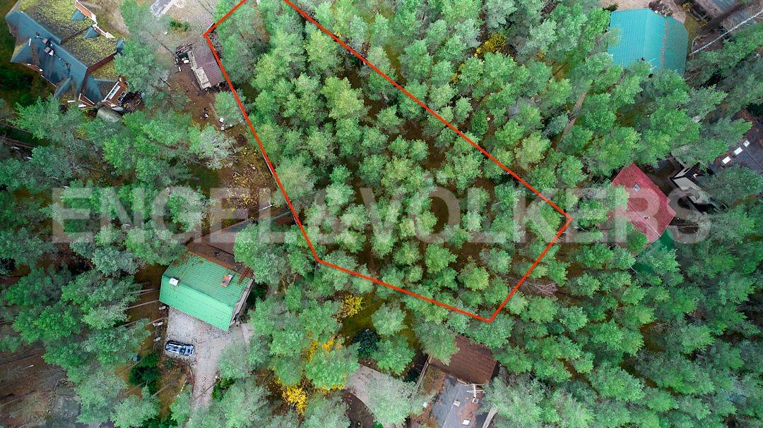 «западная лица» – участок в сосновом лесу фото 1