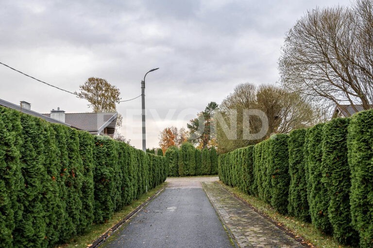 г. шлиссельбург - резиденция на берегу ладоги фото 4