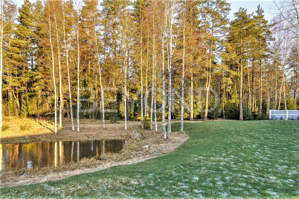 Территория участка