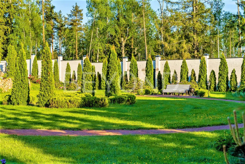 Благоустроенная территория