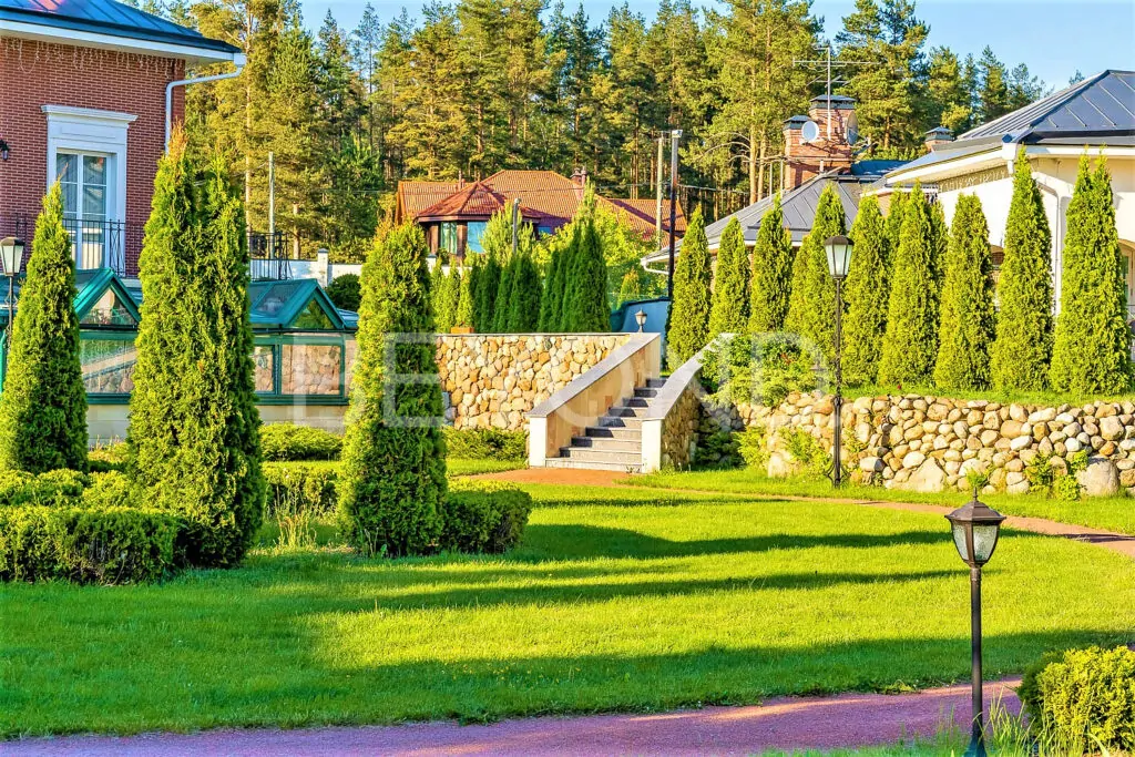 Территория участка