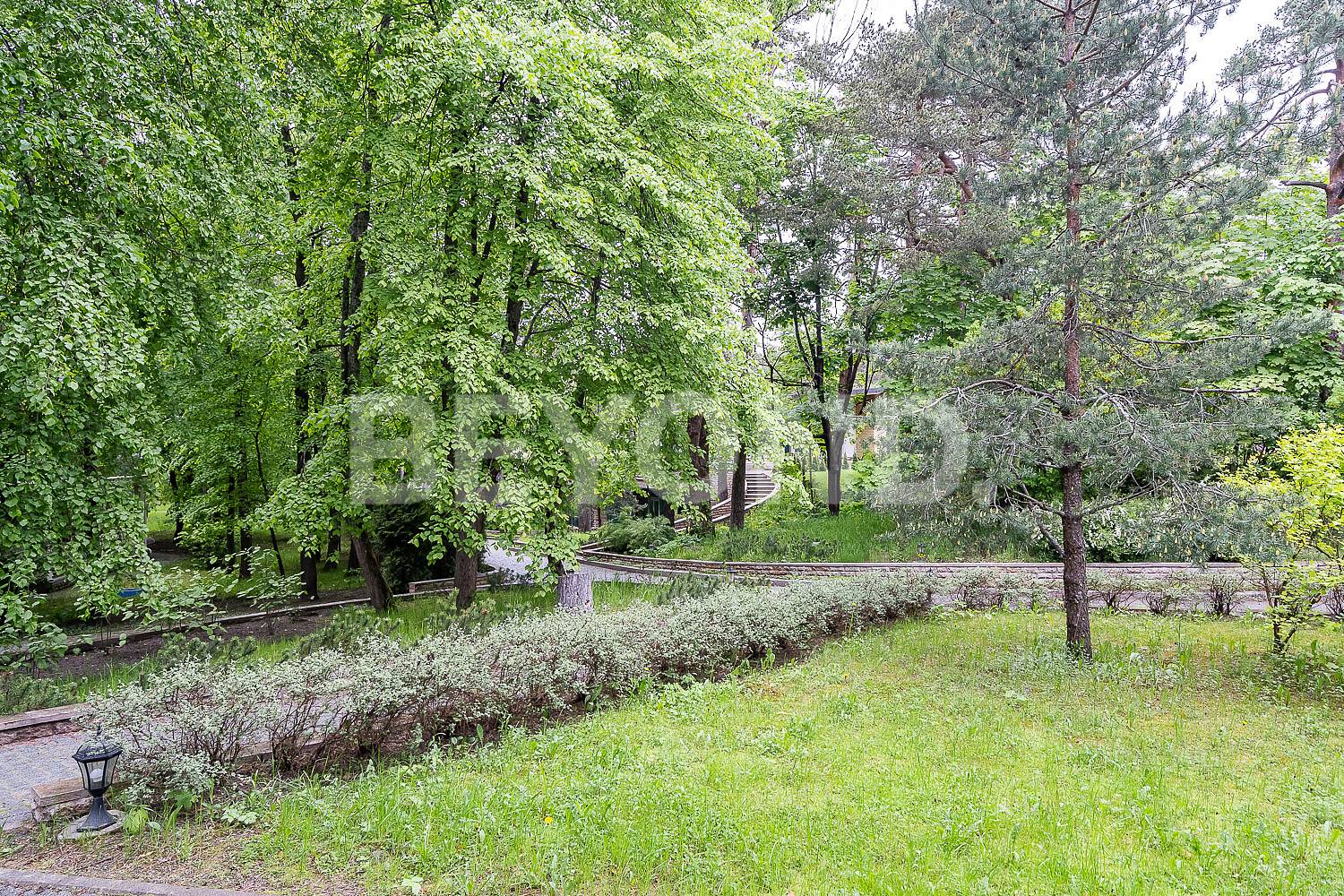 "сестрорецкие дачи" – идиллия и комфорт на берегу финского залива фото 3