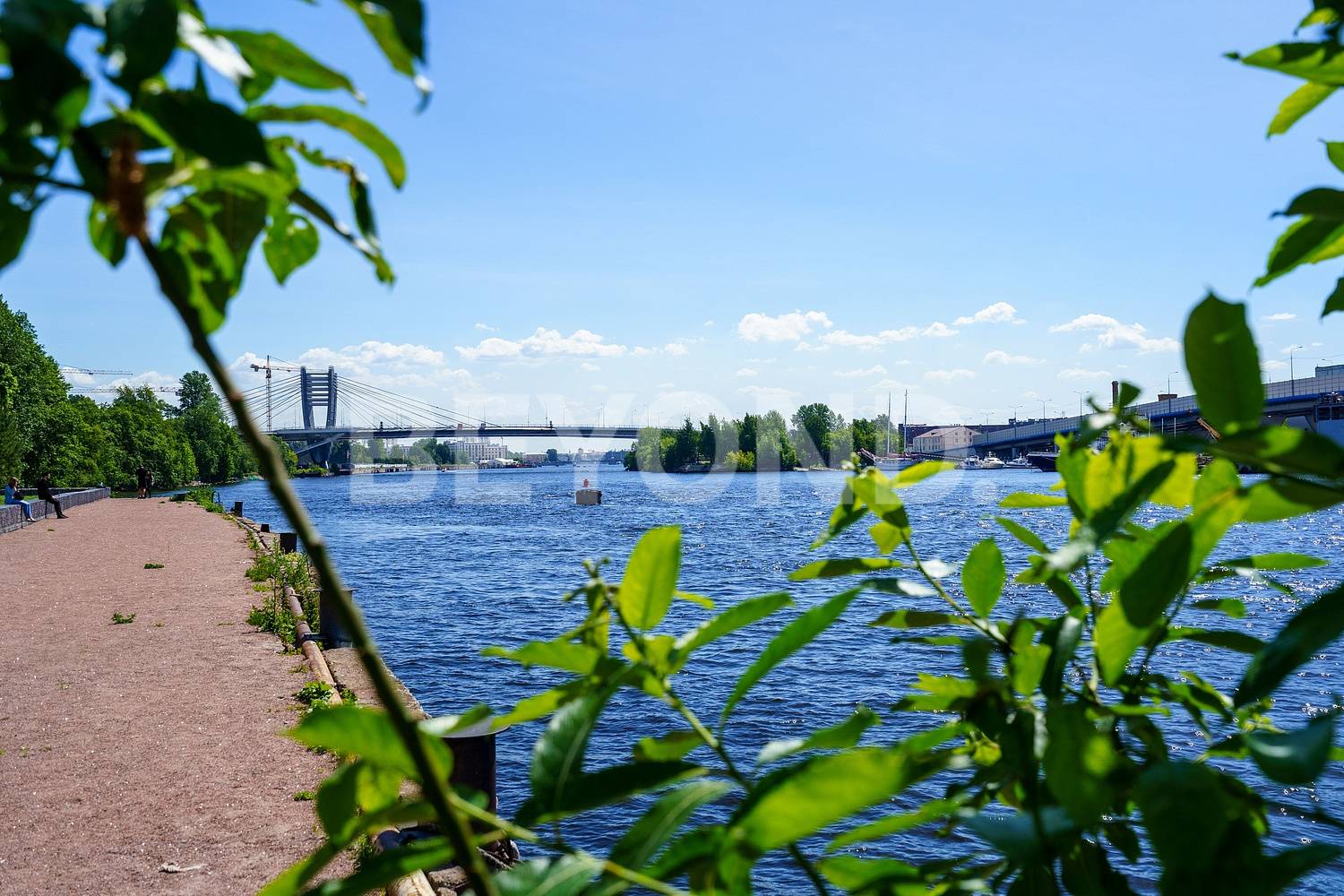 петровский, 26 - видовая семейная квартира на берегу малой невы фото 3