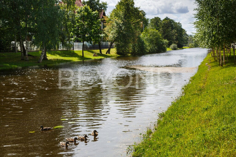 наб. реки крестовки, 5 – собственный особняк на каменном острове фото 4