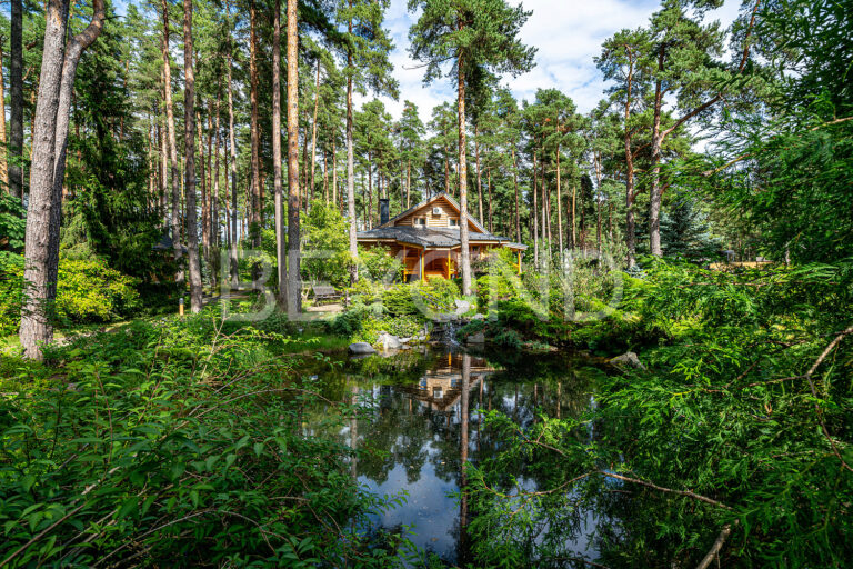 "зеленая роща" - особенная резиденция на первой линии финского залива фото 2