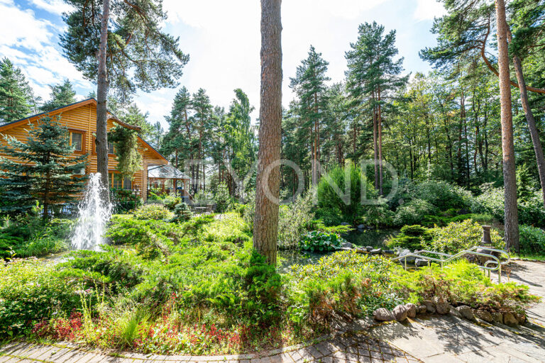 "зеленая роща" - особенная резиденция на первой линии финского залива фото 3