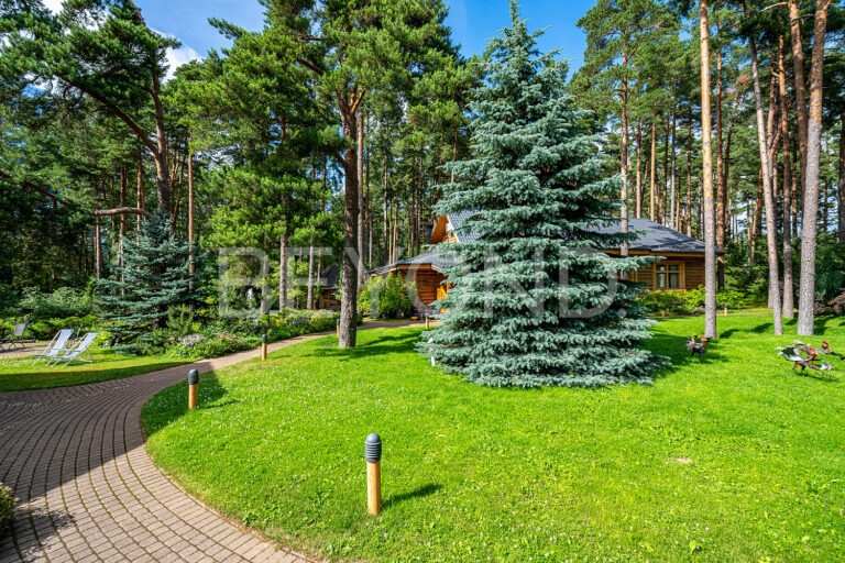 "зеленая роща" - особенная резиденция на первой линии финского залива фото 4