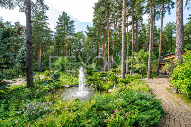 "зеленая роща" - особенная резиденция на первой линии финского залива фото 5