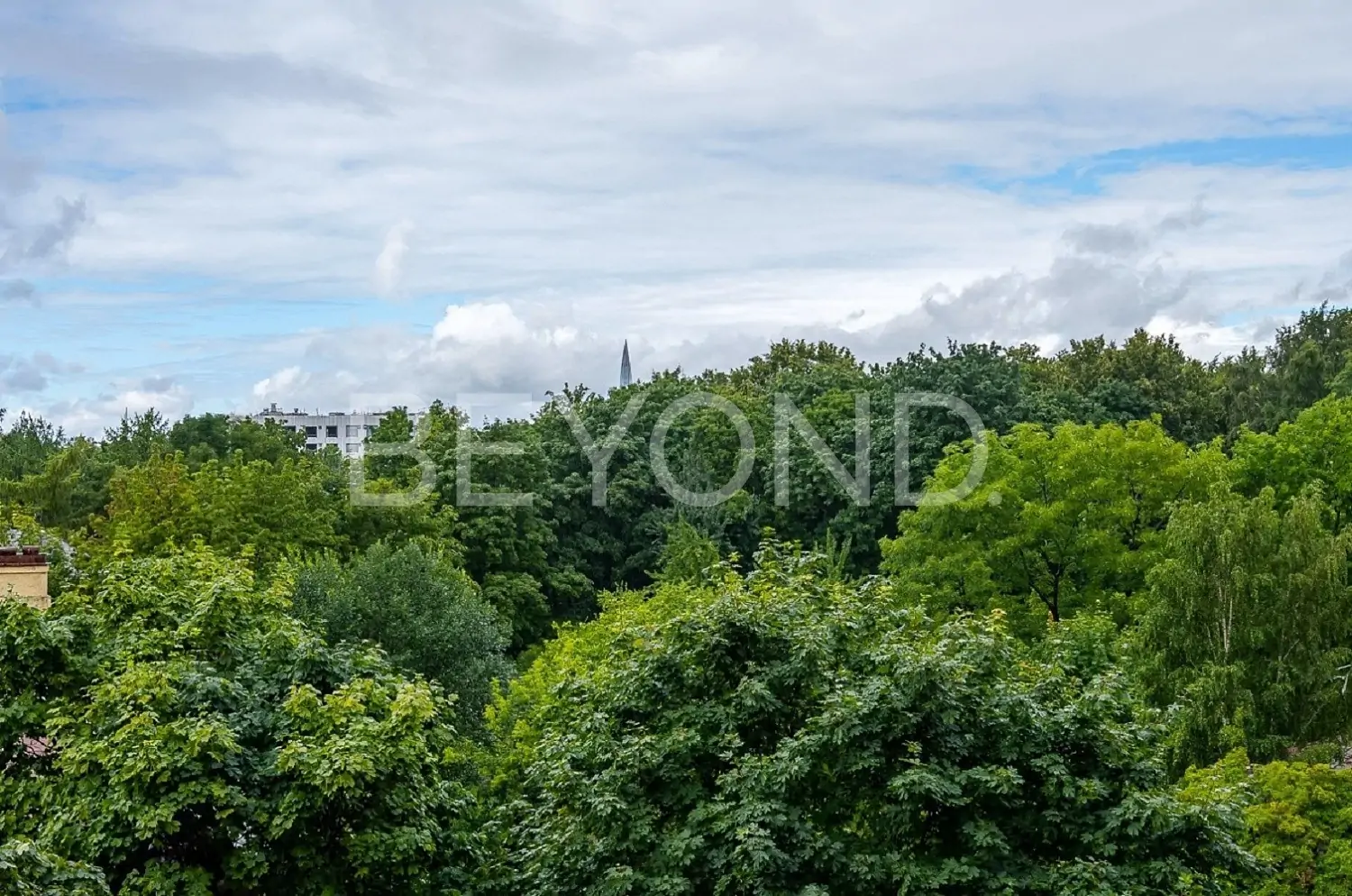 neva haus - совершенный баланс эстетики и комфорта фото 5