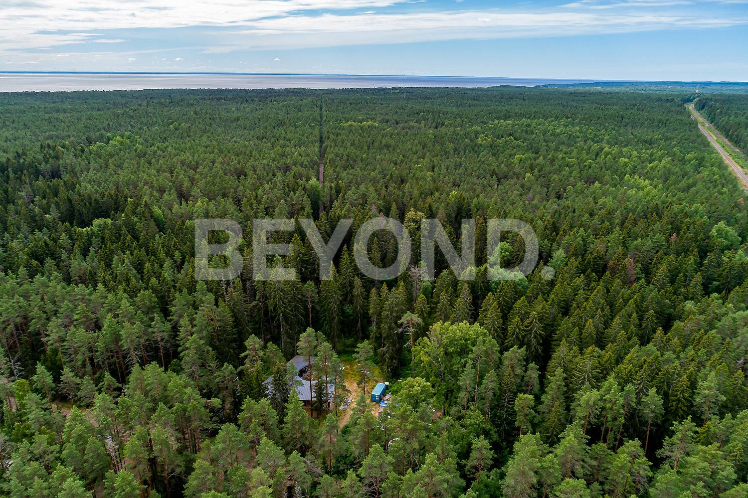 п. ушково - приватный лесной участок вблизи залива фото 3