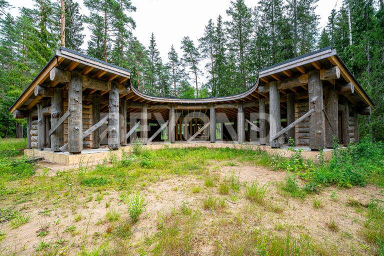 п. ушково - приватный лесной участок вблизи залива фото 4