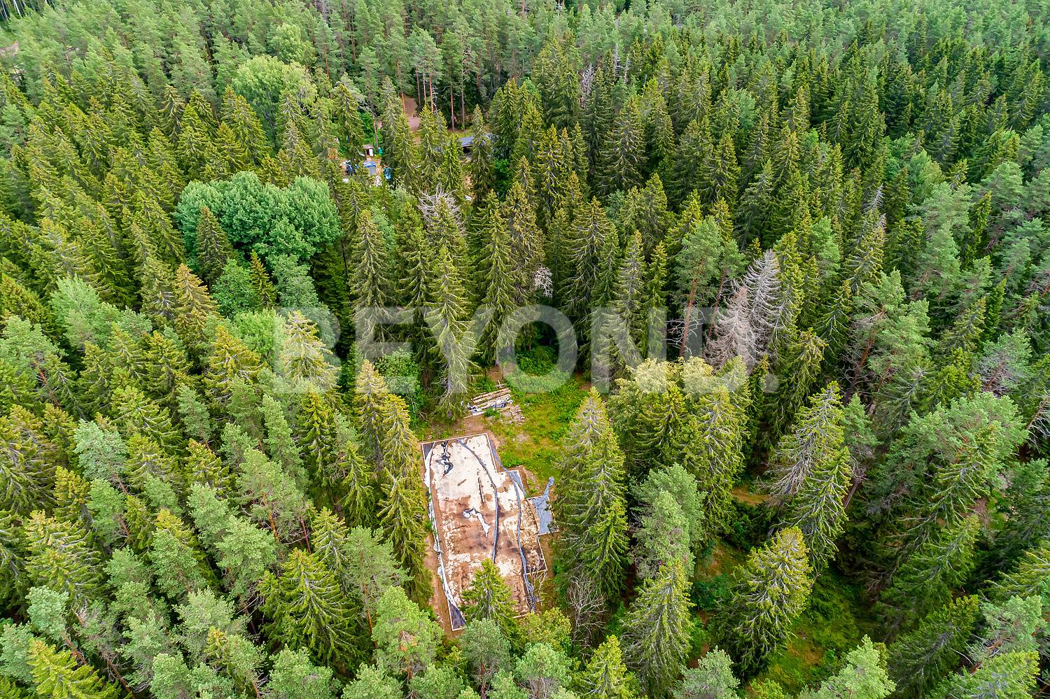 п. ушково – участок у залива в окружении векового леса фото 2