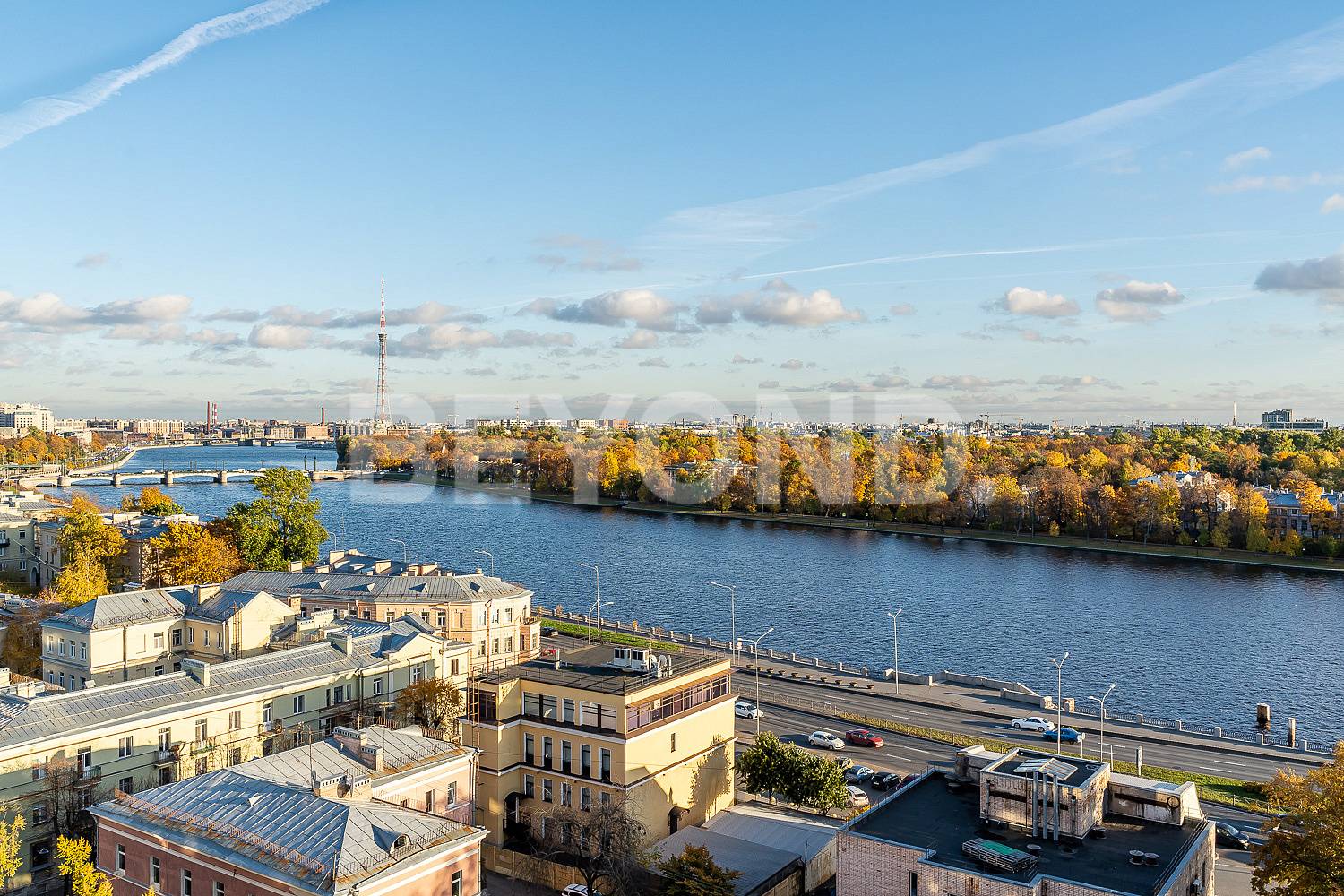 савушкина, 36 - захватывающий вид из всех окон фото 2