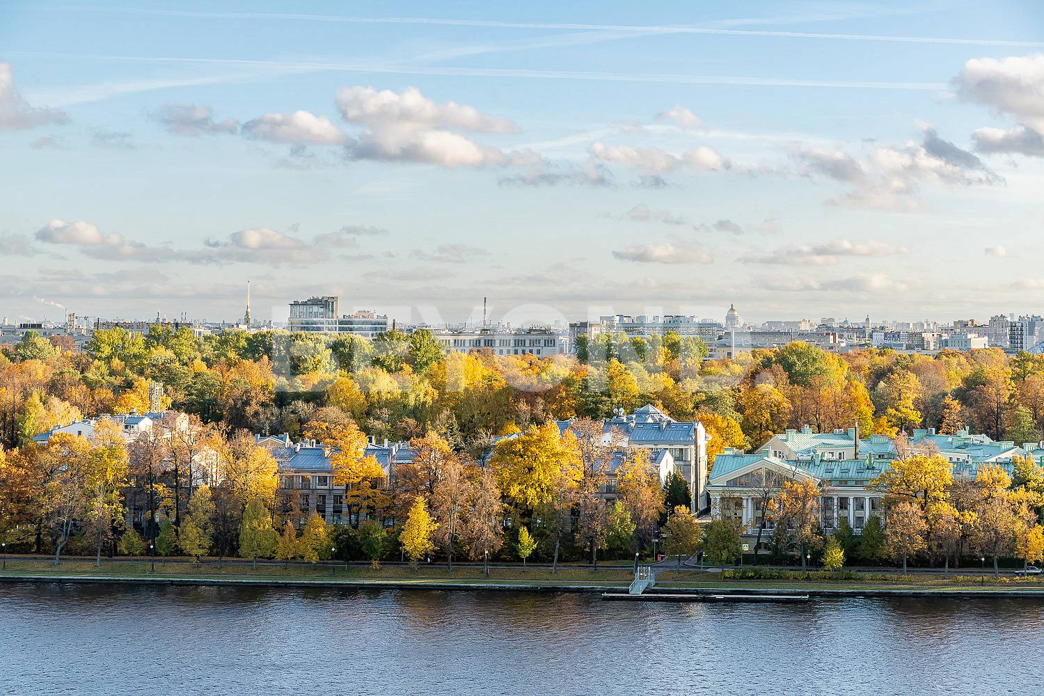 савушкина, 36 - захватывающий вид из всех окон фото 1