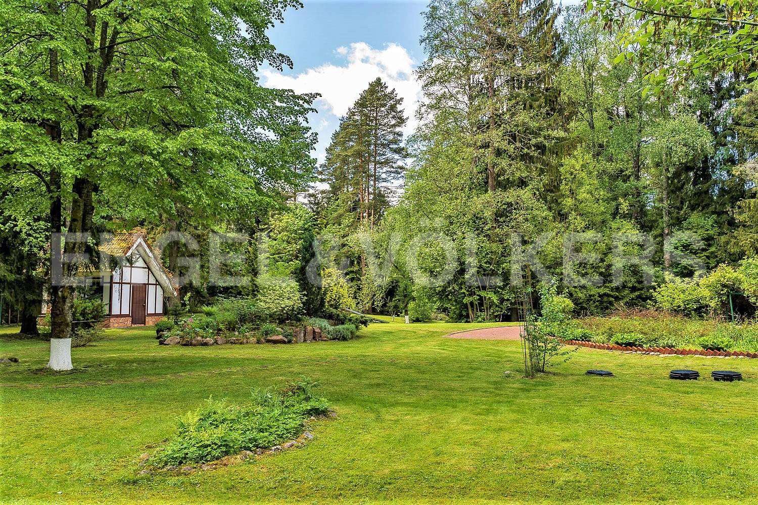 п. репино - приватный участок в особой локации фото 2