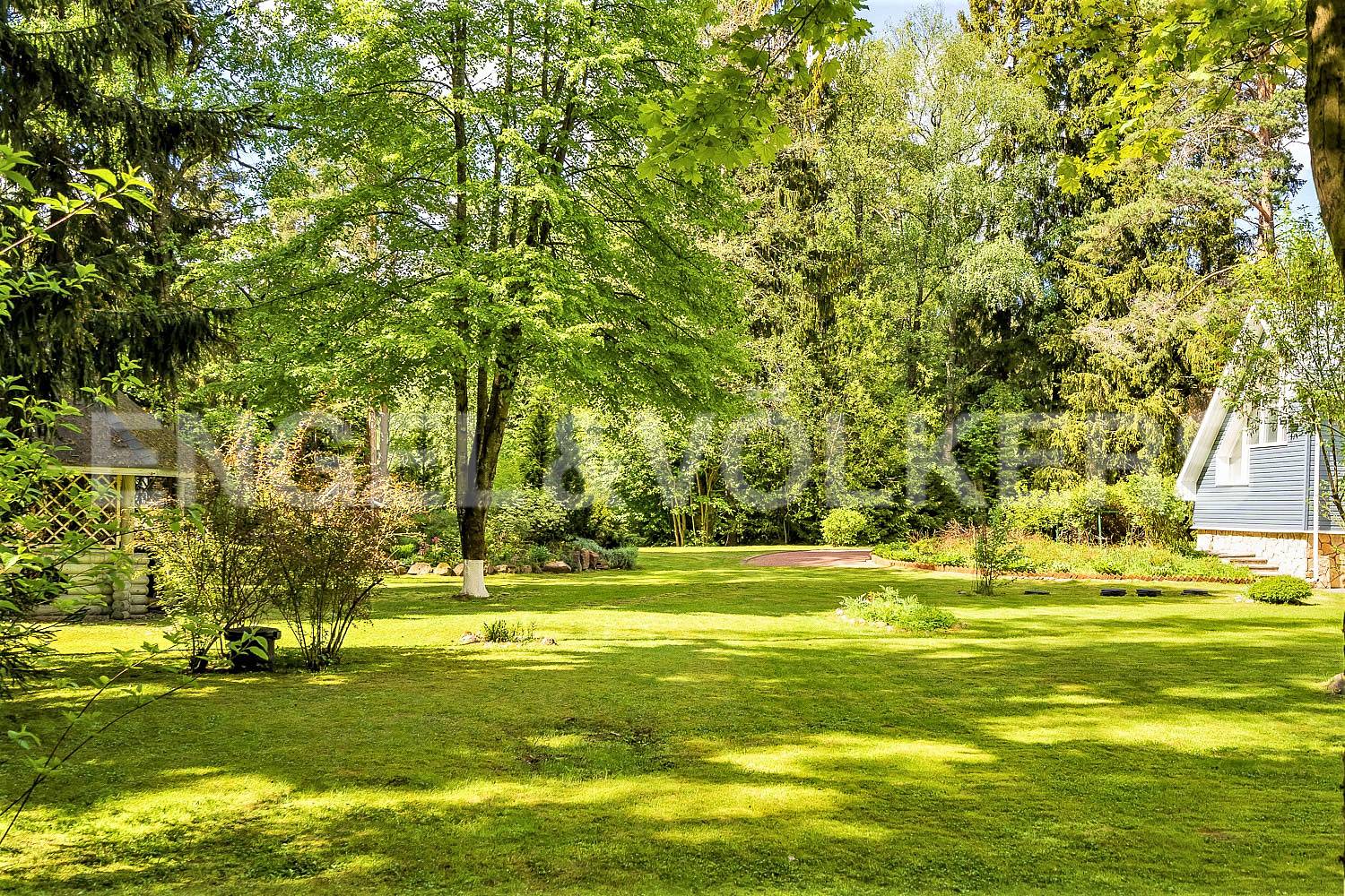 п. репино - приватный участок в особой локации фото 3