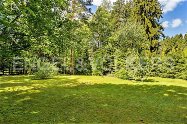 п. репино - приватный участок в особой локации фото 4