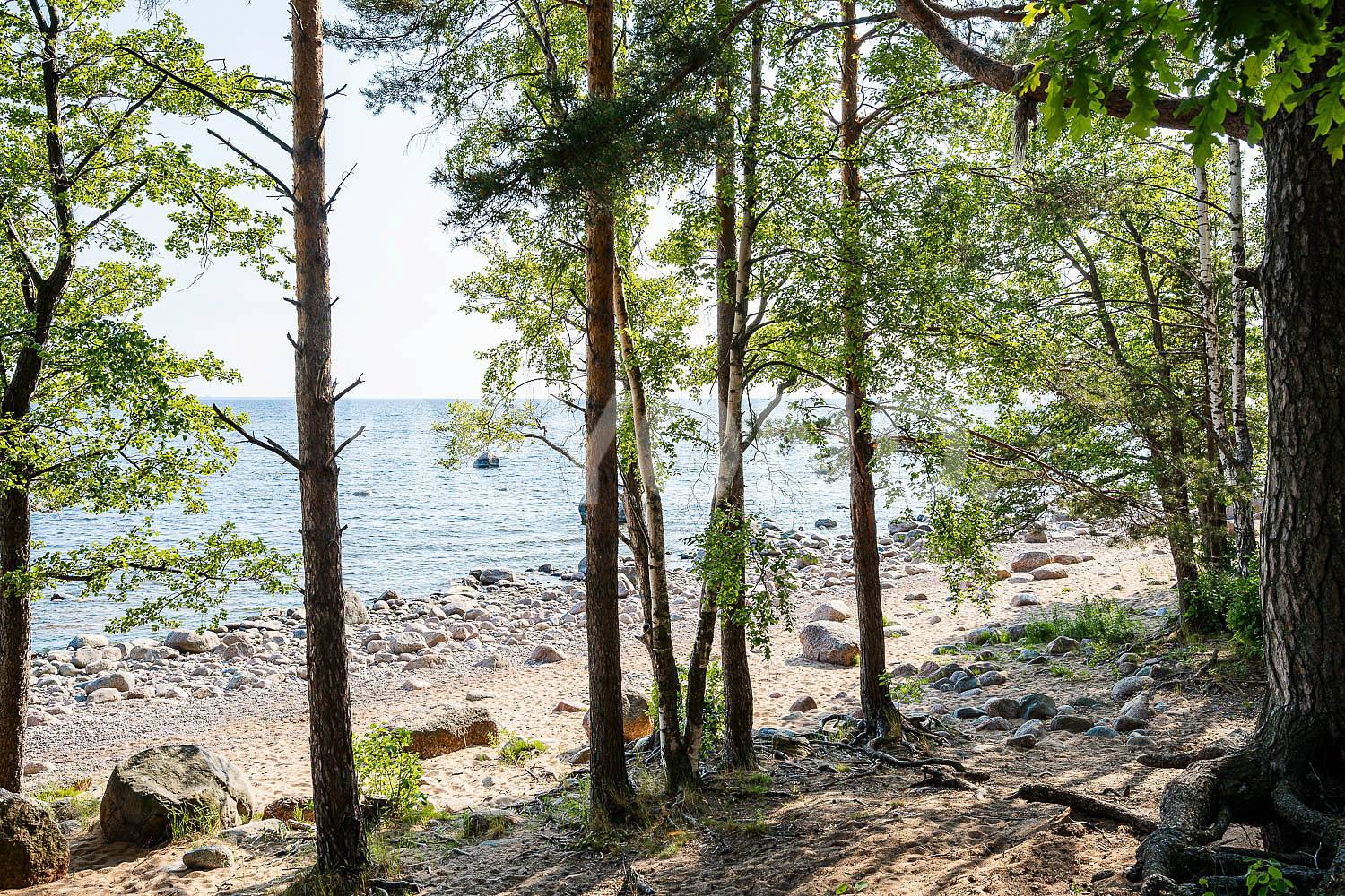 п. Пески - шале на первой линии Финского залива pic-1