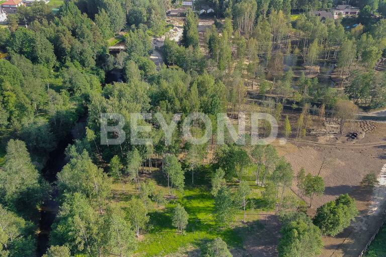 снт «сестрорецкое» - лесной участок на берегу р. сестры фото 4