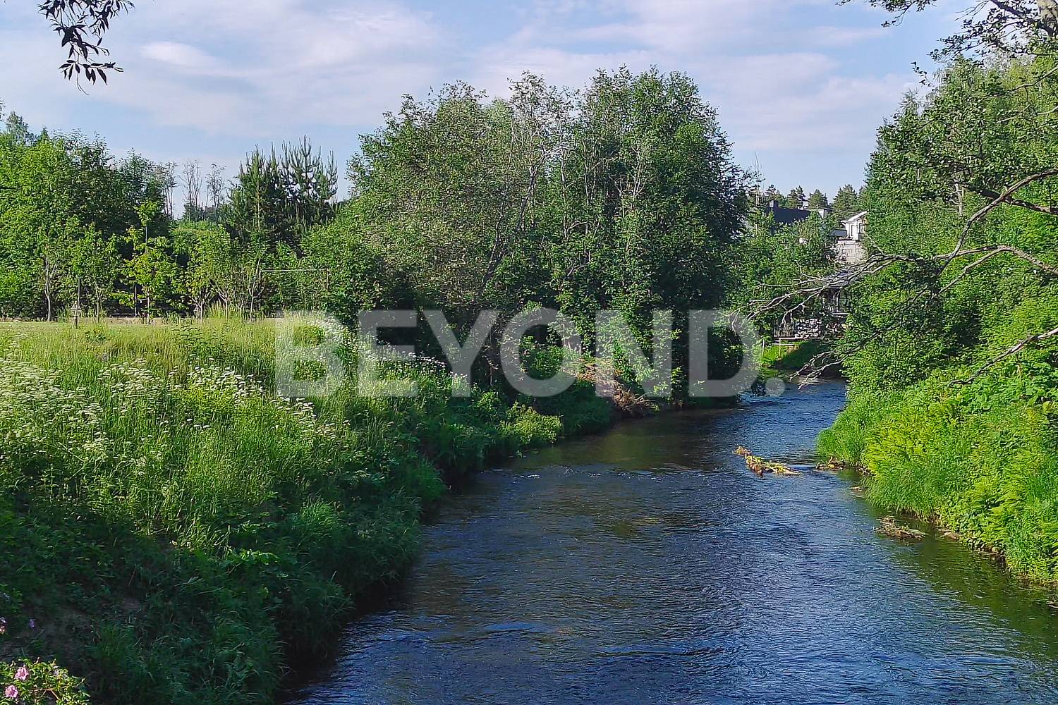 снт «сестрорецкое» - лесной участок на берегу р. сестры фото 1