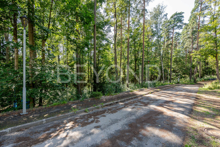 "зеленые горки" - сосновый участок вблизи финского залива фото 5