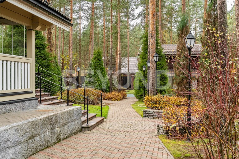 "западная лица" - уверенность в окружении фото 4