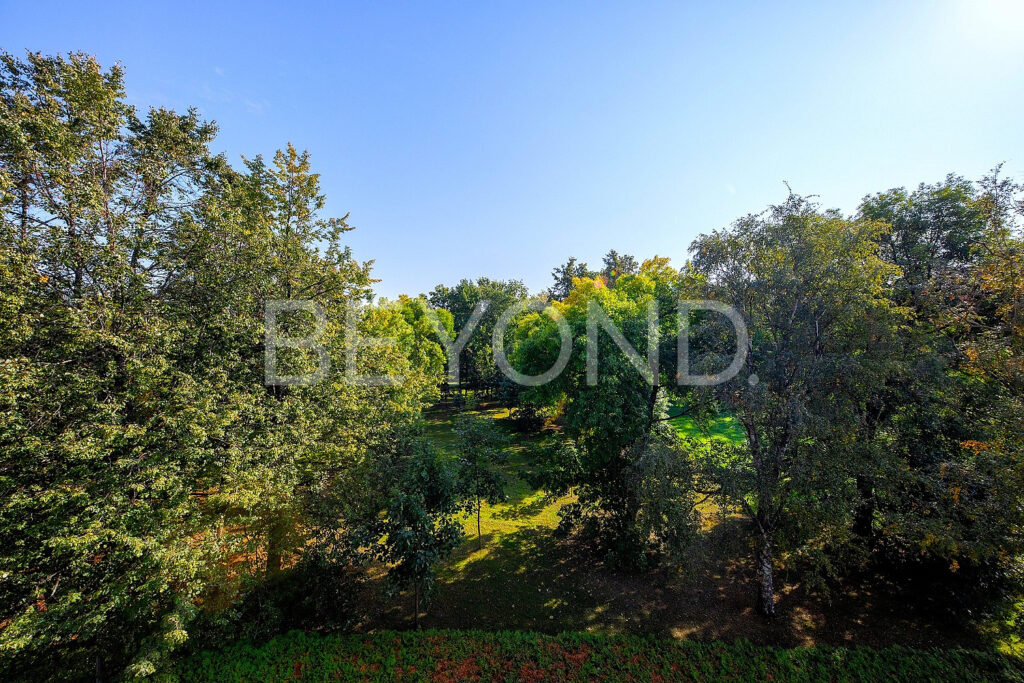 Панорамные виды из окон на восточную и южную стороны