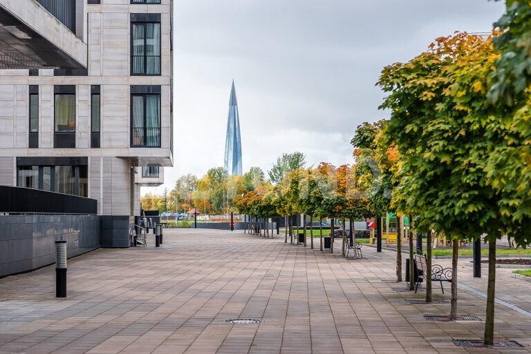 наб. мартынова, 74 – вид на зелень парков в «доме у моря» фото 2