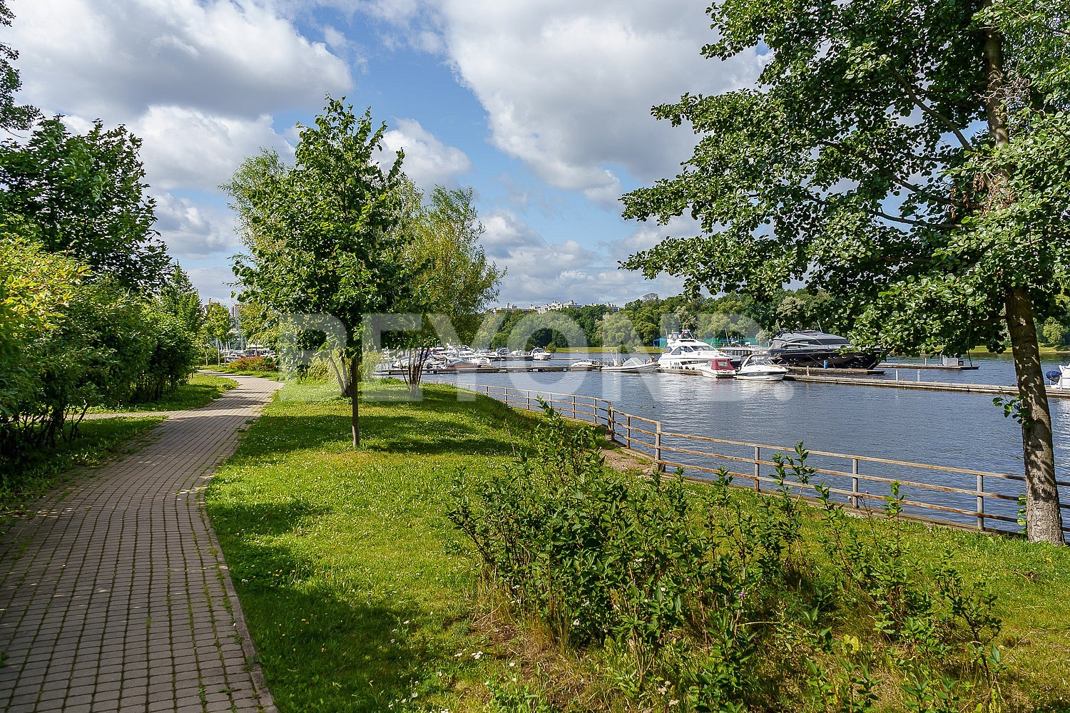 наб. мартынова, 74 – вид на зелень парков в «доме у моря» фото 3