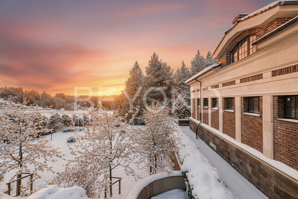 Задний двор