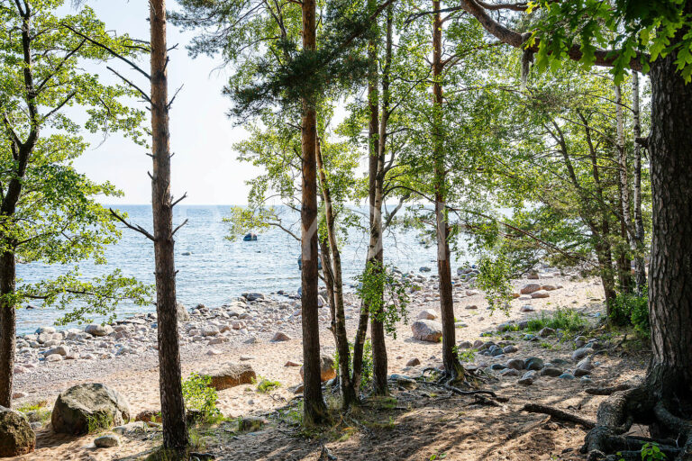 кп "пески-29"- первая береговая линия финского залива фото 2