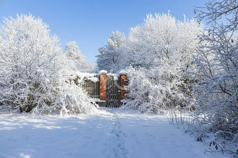 сестрорецк - участок на первой береговой линии финского залива фото 2