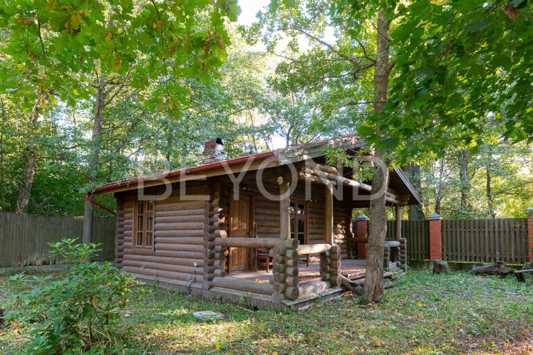 сестрорецк - участок на первой береговой линии финского залива фото 4