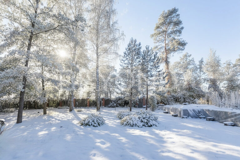 сестрорецк - участок на первой береговой линии финского залива фото 5