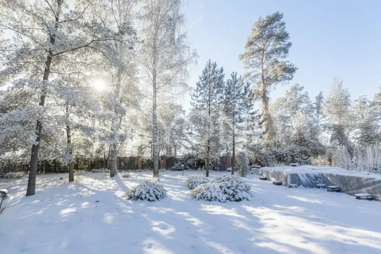 сестрорецк - участок на первой береговой линии финского залива фото 5