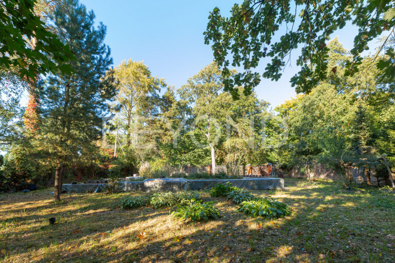 сестрорецк - участок на первой береговой линии финского залива фото 5