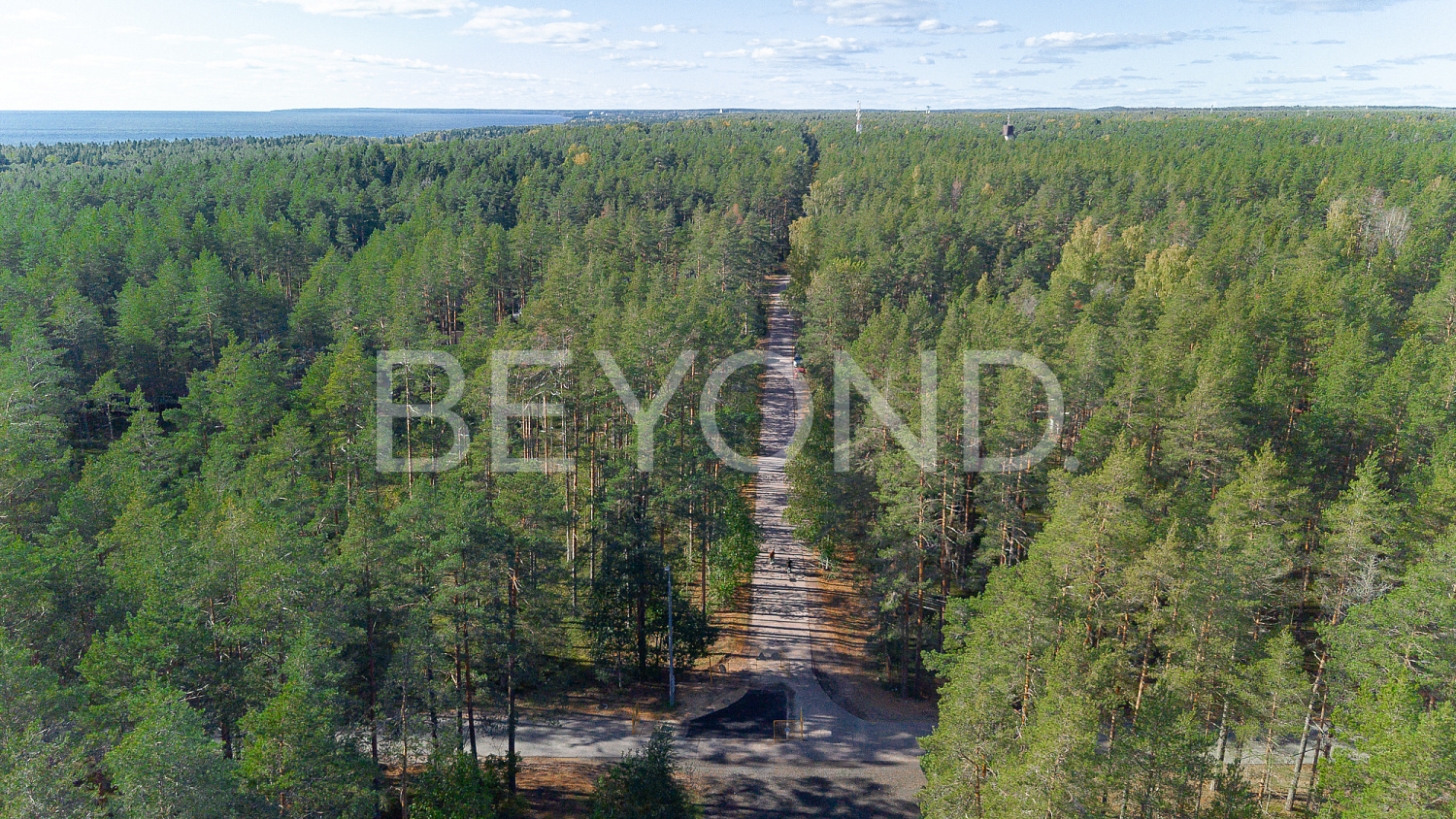 комарово - приватный участок на берегу финского залива фото 4