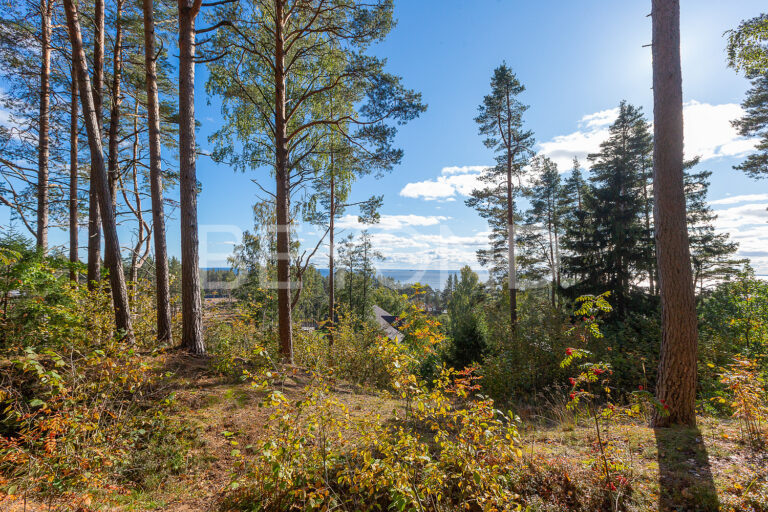 «морские террасы»‎ - участок в закрытом поселке с видом на залив фото 3