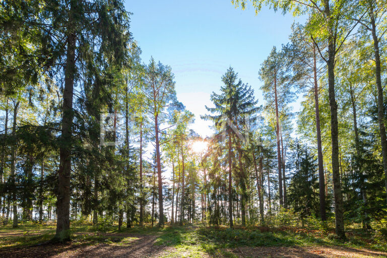 «морские террасы»‎ - участок в закрытом поселке с видом на залив фото 5