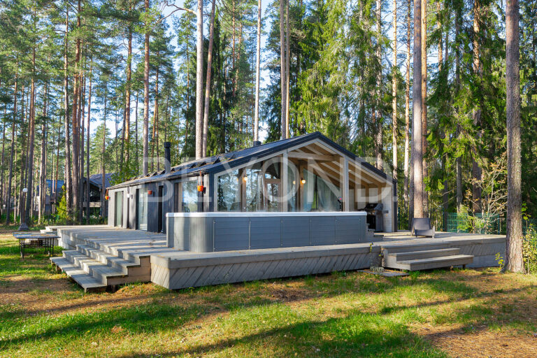 «волшебное озеро» - участок с вековыми соснами на берегу озера фото 2