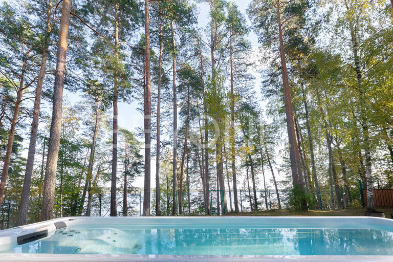 «волшебное озеро» - участок с вековыми соснами на берегу озера фото 3