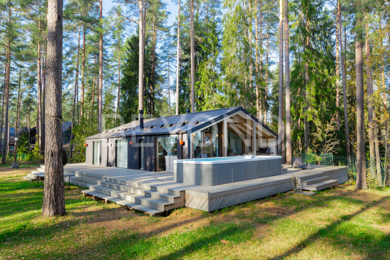 «волшебное озеро» - участок с вековыми соснами на берегу озера фото 4