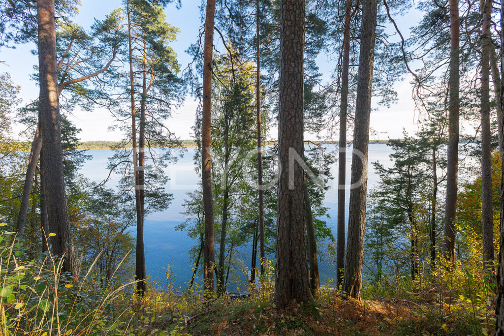 Первая береговая линия