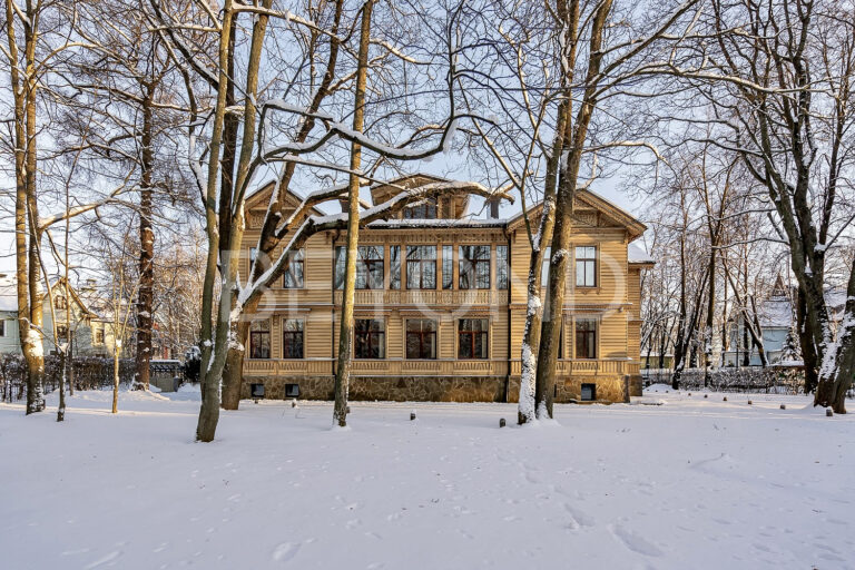 наб. малой невки, 33 - резиденция представительского класса на каменном фото 3